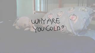 Lay In Bed