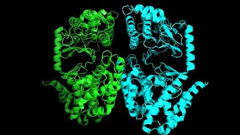 htert 3du6 convert video online com