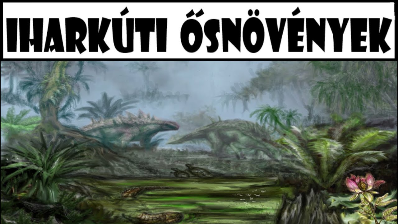 Iharkúti Késő Kréta Növényvilág
