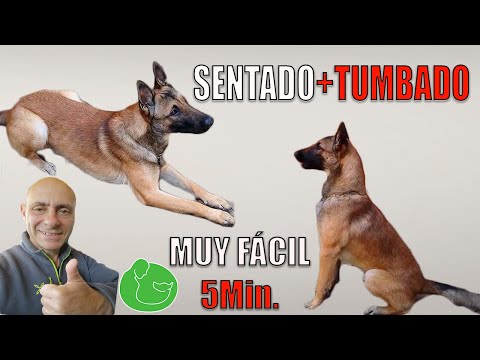 Video: Cómo saber si eres un 