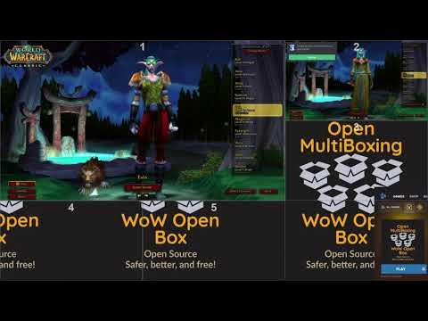 I don't know if this type of multiboxing is legal.