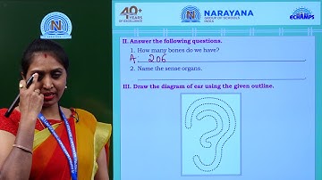 10TH JUL CBSE CLASS 2 EVS ASSIGNMENT 1 KEY