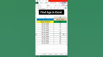 How to Calculate Age in Excel #excel #video #newexcel #excelsolution #excelspreadsheet #excelgyan