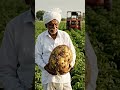 big potato 🥔#vairalvideo #ytshorts #trendingshorts #viralvideo