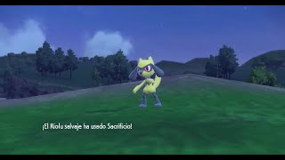 Riolu el Sacrificado 🥲 - Pokémon Escarlata / Purpura