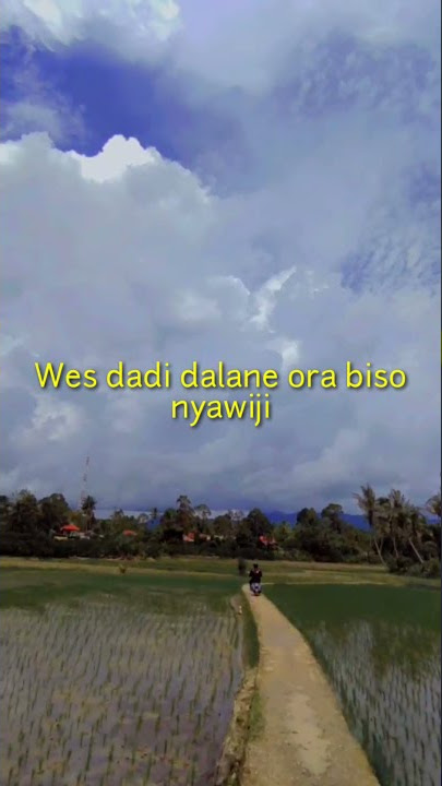 Story WA Nuwun sewu 'Loro Ati '