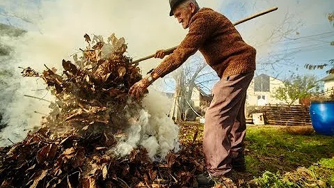 Это преступление! Нужно ли сжигать опавшие листья
