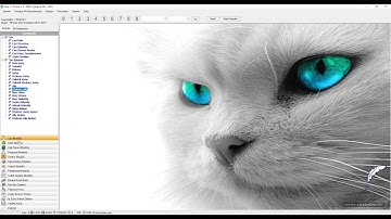 Alış Satış İşlemleri Fiş ve Fatura Oluşturma