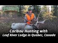 Caribou Hunting with Leaf River Lodge in Quebec, Canada