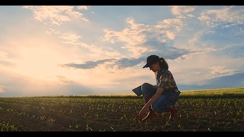 FarmBeats for Students