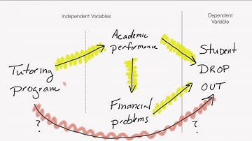Review: Causal Relationships