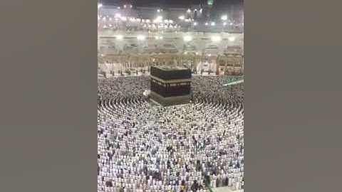 تلاوة نهاوندية رائعة من سورة الطور فجر 4-1-1438هـ