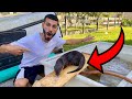 BABY OTTER GETS *NEW* DIY BATHTUB!! WILL HE LIKE IT ?