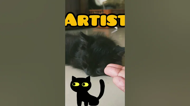 Video 10719411: persiancat cat kitten funny, persiancat catlife