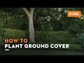 STIHL manual: Planting ground cover