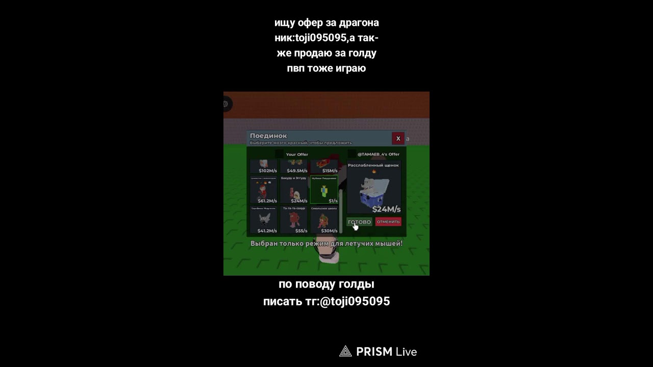 Прямая трансляция RBgame