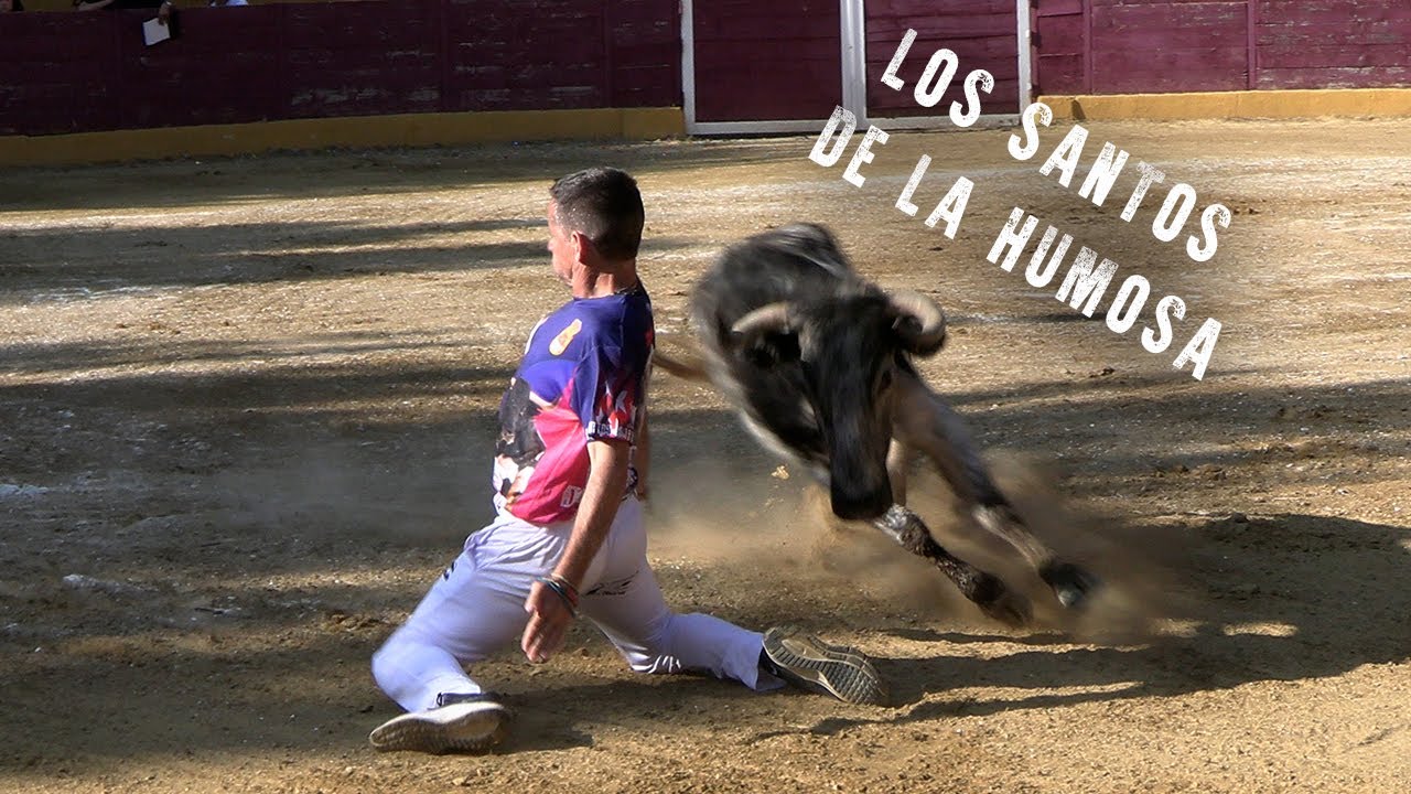 😳¡ESPECTACULAR!😳 EXHIBICIÓN DE RECORTES LOS SANTOS DE LA HUMOSA 2025