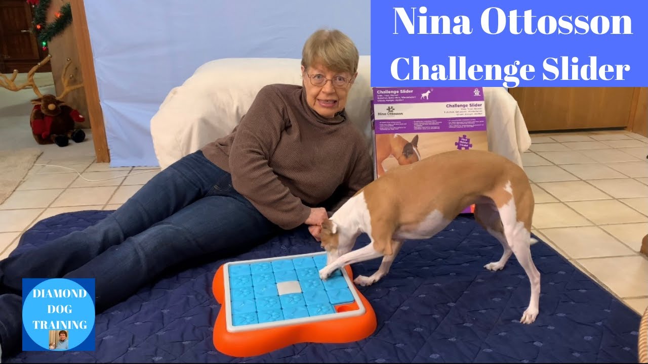 CHALLENGE SLIDER - DOG PUZZLE GAME - Nina Ottosson Treat Puzzle Games for  Dogs & Cats