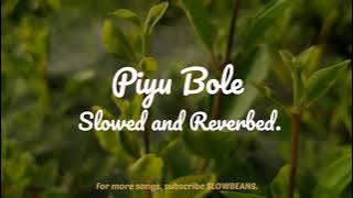 Piyu Bole (Slowed and Reverbed) | Parineeta | Sonu Nigam, Shreya Ghoshal | SLOWBEANS