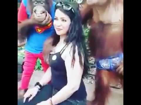 Kadini elleyen maymun