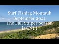 Surf Fishing Montauk September 2021 - The Fall Striper Season is ON!!!