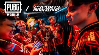カエラ・コヴァルスキアの配信のサムネイル画像