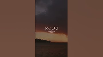 سورة الفيل | أكتب شيء تؤجر عليه بإذن الله 🌱