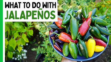 Wat te doen met jalapeñopepers 🌶️