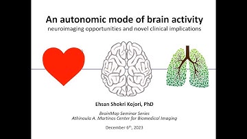 BrainMap: An autonomic mode of brain activity: neuroimaging opportunities and novel clinical impl...