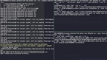 OWASP ZAP - example scan with tuned hooks