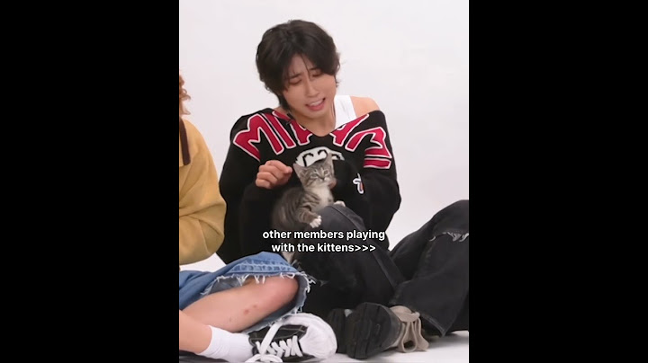 The kittens definitely know he's one of them🐈‍⬛ #leeknow #leeknowstraykids #leeknowskz #straykids