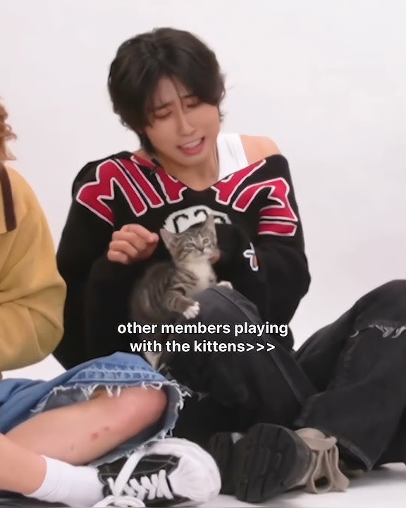 The kittens definitely know he's one of them🐈‍⬛ #leeknow #leeknowstraykids #leeknowskz #straykids
