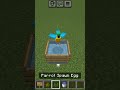 Minecraft Viral Build Hack - Minecraft tiktok video #shortvideos Rafatar k m