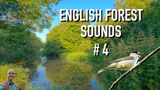 English Forest Sounds 4 | River Avon Near Sandy Balls
