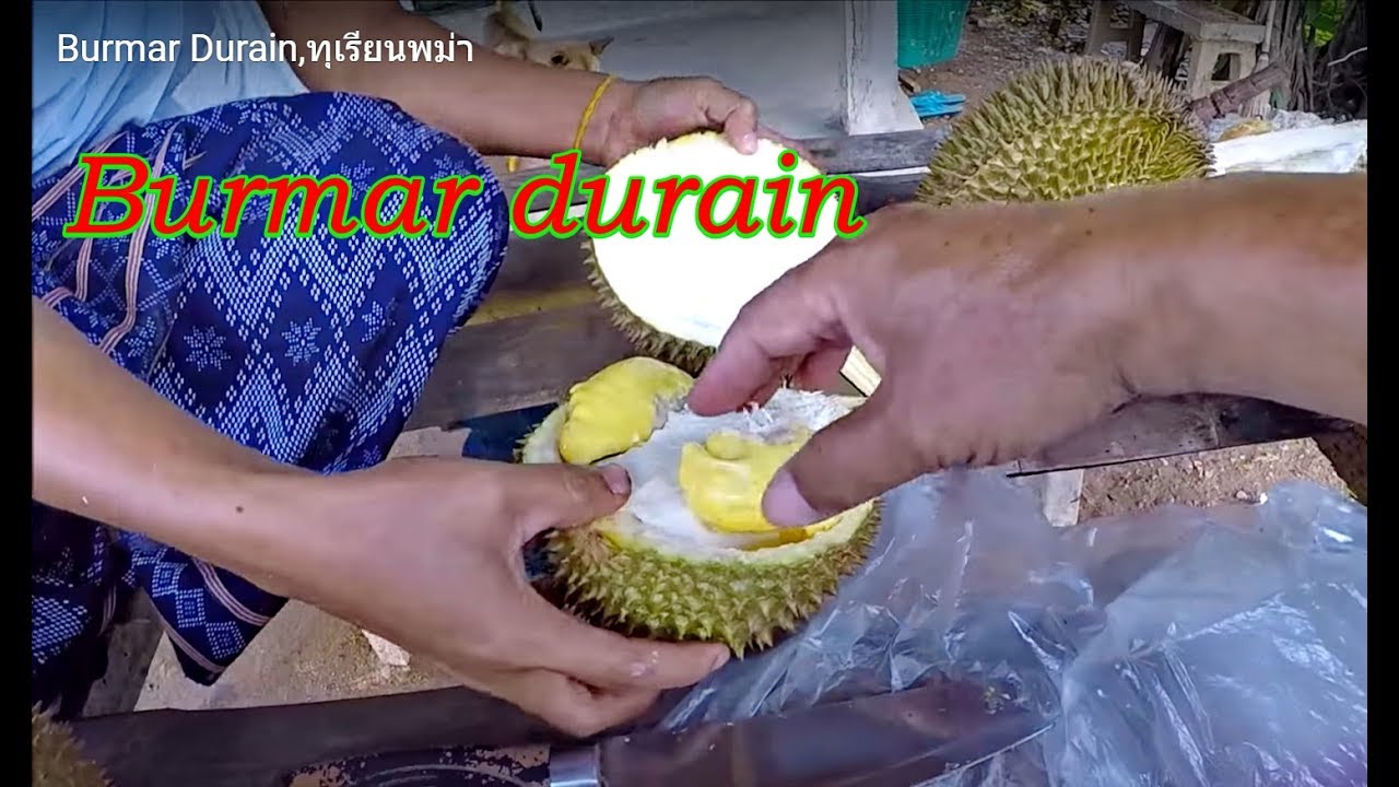 Burmar Durain Local Durain - YouTube