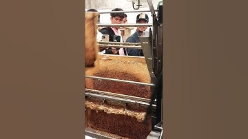 modern uncapping of honey frames. #apiculture #honeybees