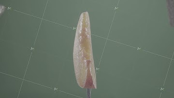 Peach rotating with loop on green screen for chroma key