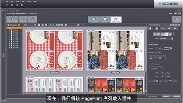用 PDF-VT 和 Prinect DFE 个性化的活件.