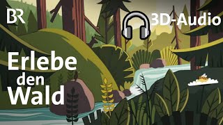🎧 Waldgeräusche zum Entspannen: Vögel am Bach | Nature Sounds | Real Time 3D-Audio Binaural | BR