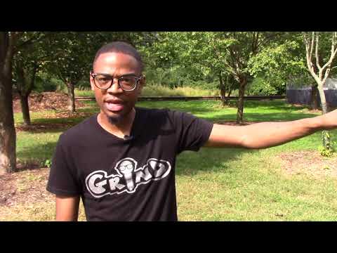PBIS Message for Vision Academy Charter School Students