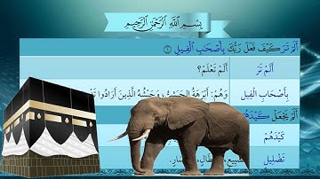 120- سورة الفيل - شرح غريب القرآن - تقديم عماد بن أنور الديب