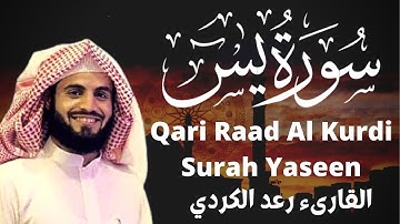 القارئ رعد الكردي سورة يس Qari Raad Al Kurdi Surah Yaseen