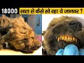 18000 साल से आखिर क्यों सोया है ये कुत्ता? | Amazing Facts in Hindi | Ep #33