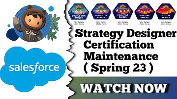 Strategy Designer Certification Maintenance (Spring 