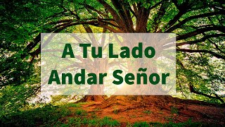 Video thumbnail of "Himnos De Vida 316 A Tu Lado Andar Señor Version Instrumental"