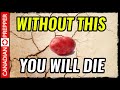 The Most Important Food for Surviving SHTF The following video is brought to you courtesy of the Canadian Prepper YouTube Channel. Click the link below to watch it now!