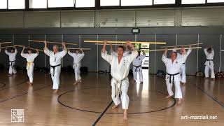 Kunibaryu Kobudo - Bo Kata - Roppo Uke No Kon - Taketomikai Resimi