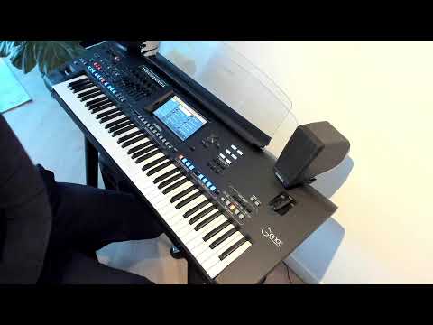 Livestream Keyboardplayer