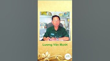 Anh hùng Lương Văn Mướt và cuộc chiến đấu với cá sấu Rừng Sác