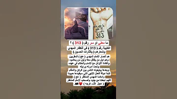 مامعنى رقم 313 